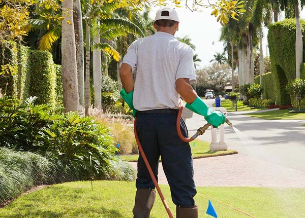 About Eldena IL Pest Control